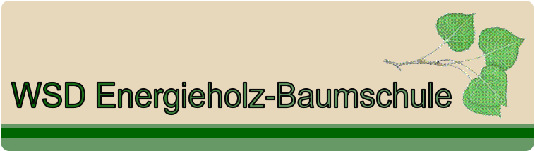 WSD Energieholz-Baumschule